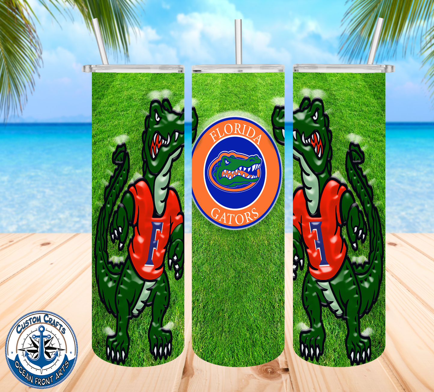Florida Gators 6 pack tumbler designs png files digital downloads.